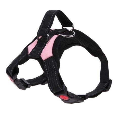 NEW All-In-One Dog Harness ® - Cart Weez