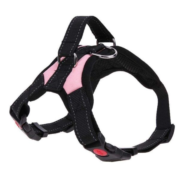 new-all-in-one-dog-harness-www-cartweez-com-8613313085504