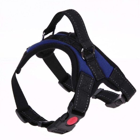 new-all-in-one-dog-harness-www-cartweez-com-8613313183808