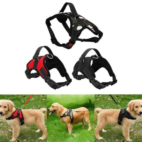 new-all-in-one-dog-harness-www-cartweez-com-8613313314880