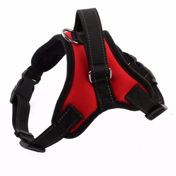 new-all-in-one-dog-harness-www-cartweez-com-8613313347648