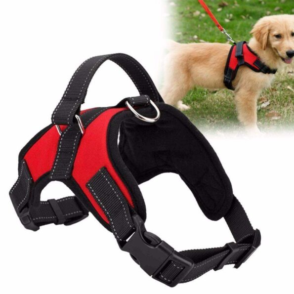 new-all-in-one-dog-harness-www-cartweez-com-8613313413184