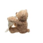 peek-a-boo-teddy-bear-toy-70-off-www-cartweez-com-8613430231104