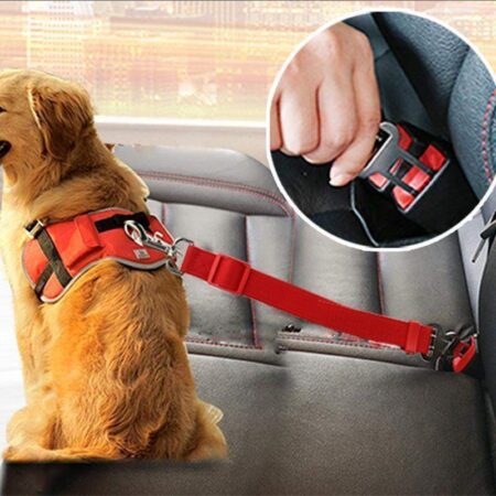 Pet Safe Transport Seat Belt - Cart Weez